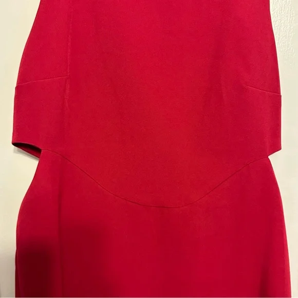 Elegant Redish Magenta Sleeveless Dress - Picture 5 of 6